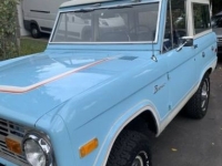1974 Ford Bronco for sale in Michigan (ID-141984)