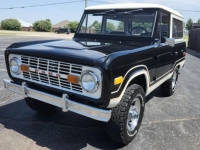 1974 Ford Bronco for sale in Michigan (ID-143818)