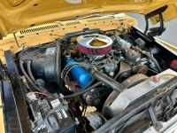 1974 Ford F250 for sale in Michigan (ID-130810)