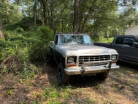 1974 Ford F250 for sale in Michigan (ID-133375)