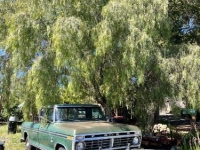 1974 Ford F350 for sale in Michigan (ID-162580)