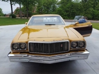 1974 Ford Ranchero for sale in Michigan (ID-94224)