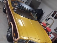 1974 Ford Ranchero for sale in Michigan (ID-94224)