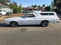 1974 Ford Ranchero for sale in Michigan (ID-103783)