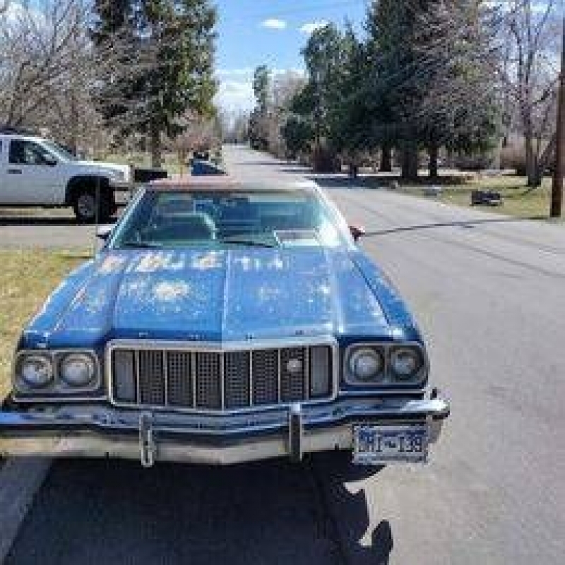1974 Ford Ranchero for sale in Michigan (ID-115584)