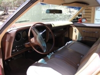 1974 Ford Ranchero for sale in Michigan (ID-143475)