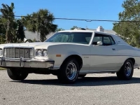 1974 Ford Torino for sale in Addison, Illinois (ID-138222)