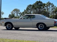 1974 Ford Torino for sale in Addison, Illinois (ID-138222)