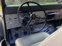 1974 Jeep CJ5 for sale in Michigan (ID-94676)