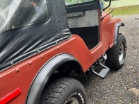 1974 Jeep CJ5 for sale in Michigan (ID-124242)