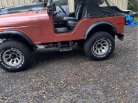 1974 Jeep CJ5 for sale in Michigan (ID-124242)