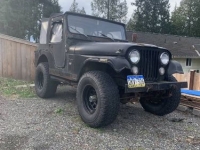 1974 Jeep CJ5 for sale in Michigan (ID-125145)