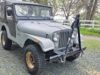 1974 Jeep CJ5 for sale in Michigan (ID-141101)