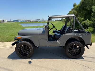 1974 Jeep CJ5 for sale