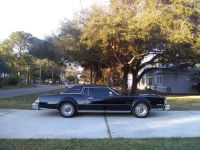 1974 Lincoln Continental for sale in Michigan (ID-98006)