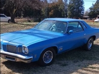 1974 Oldsmobile Cutlass for sale in Michigan (ID-126335)