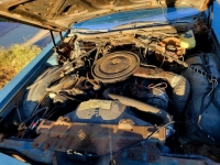 1974 Oldsmobile Delta 88 Royale for sale in Michigan (ID-144616)