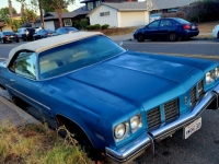 1974 Oldsmobile Delta 88 Royale for sale in Michigan (ID-144616)