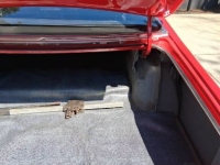 1974 Plymouth Duster for sale in Michigan (ID-163738)