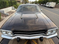 1974 Plymouth Road Runner for sale in Michigan (ID-161491)