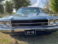 1974 Plymouth Satellite for sale in Michigan (ID-123331)