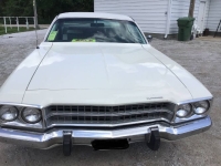 1974 Plymouth Satellite for sale in Michigan (ID-162937)