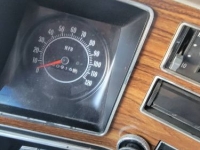 1974 Pontiac Catalina for sale in Michigan (ID-133597)