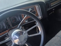 1974 Pontiac Catalina for sale in Michigan (ID-133597)