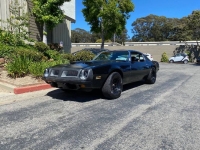 1974 Pontiac Firebird for sale in Michigan (ID-122128)