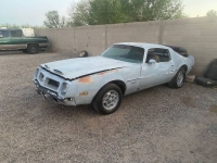 1974 Pontiac Firebird for sale in Michigan (ID-123477)