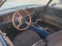 1974 Pontiac Firebird for sale in Michigan (ID-123477)