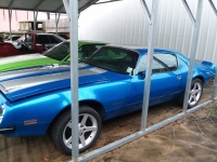 1974 Pontiac Firebird for sale in Michigan (ID-136090)