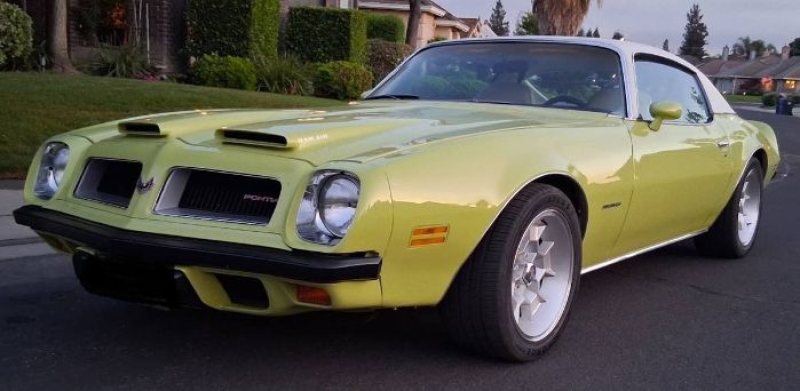 1974 Pontiac Firebird for sale in Michigan (ID-164266)