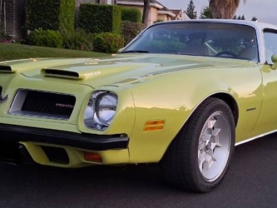 1974 Pontiac Firebird for sale