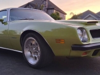 1974 Pontiac Firebird for sale in Michigan (ID-164266)