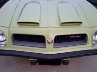 1974 Pontiac Firebird for sale in Michigan (ID-164266)