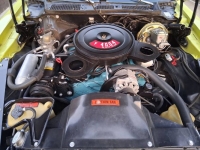 1974 Pontiac Firebird for sale in Michigan (ID-164266)