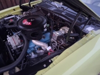 1974 Pontiac Firebird for sale in Michigan (ID-164266)