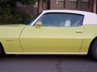 1974 Pontiac Firebird for sale in Michigan (ID-164266)