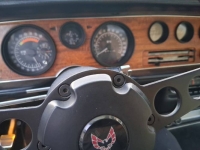 1974 Pontiac Firebird for sale in Michigan (ID-164266)