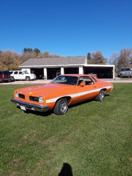 1974 Pontiac LeMans for sale in Michigan (ID-108466)