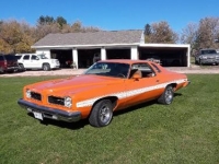 1974 Pontiac LeMans for sale in Michigan (ID-108466)