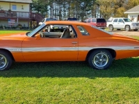 1974 Pontiac LeMans for sale in Michigan (ID-108466)