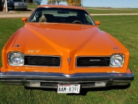 1974 Pontiac LeMans for sale in Michigan (ID-108466)