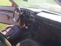 1974 Pontiac LeMans for sale in Michigan (ID-108466)