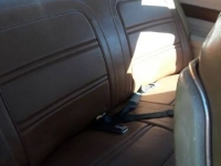1974 Pontiac LeMans for sale in Michigan (ID-108466)