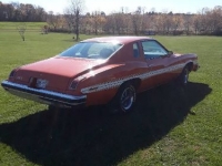 1974 Pontiac LeMans for sale in Michigan (ID-108466)