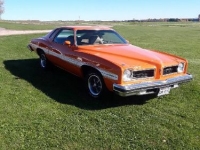 1974 Pontiac LeMans for sale in Michigan (ID-108466)