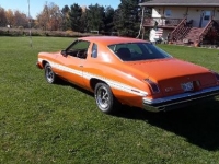 1974 Pontiac LeMans for sale in Michigan (ID-108466)