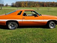 1974 Pontiac LeMans for sale in Michigan (ID-108466)